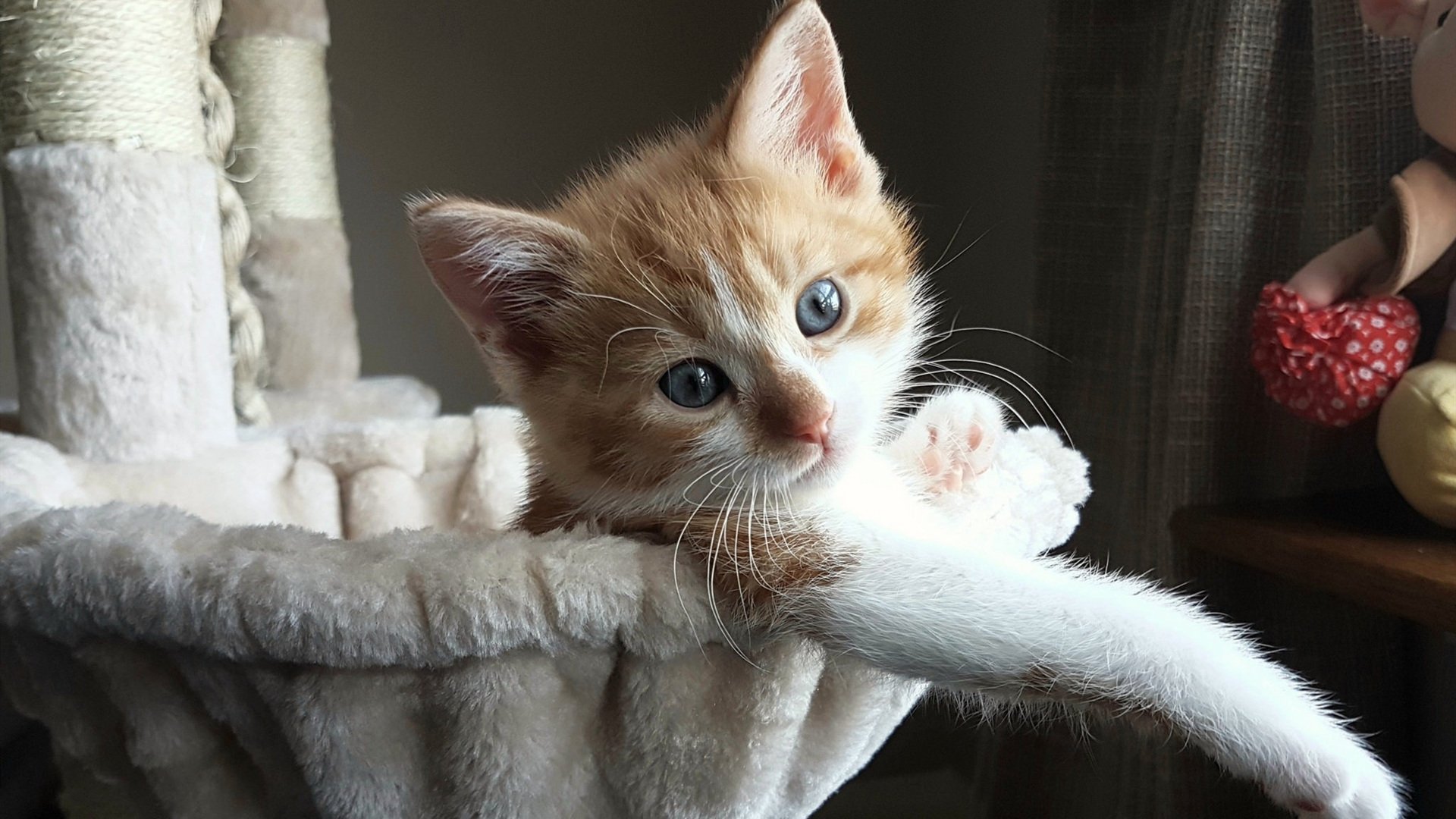 开云APP下载-_快船迎来关键比赛，士气高涨_，快船比赛表