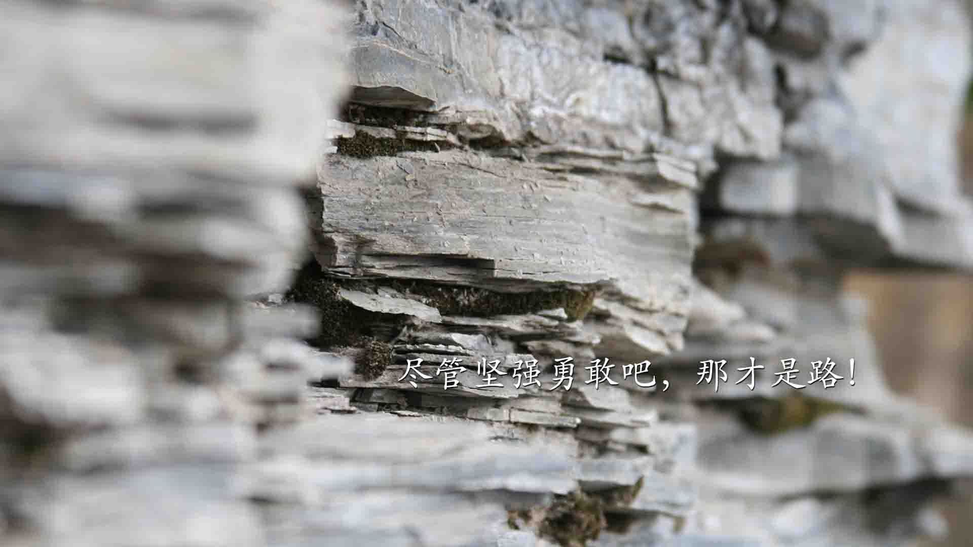 “中国女足在奥运预选赛中表现优异,冲击世界杯”,中国女足奥运预选赛名单