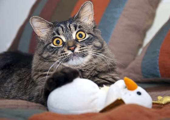 开云体育手机版-“德甲火力全开，场面震撼”，德甲 集锦