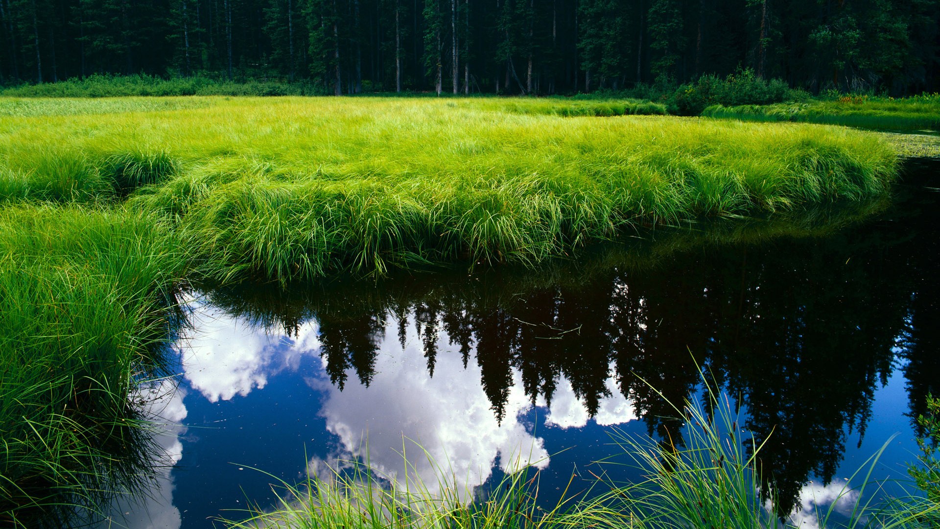 “未来之星：年度潜力新秀全方位盘点”，未来之星是谁