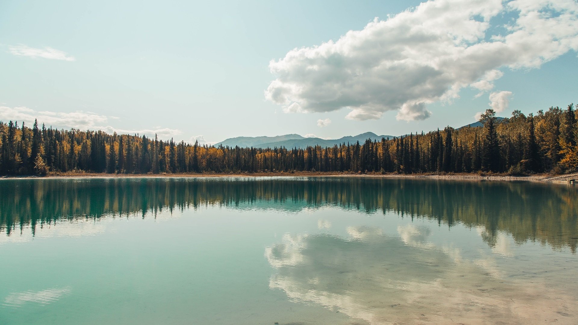 《电竞解说行业：从专业到娱乐的黄金转型》，电竞解说的工作内容有哪些