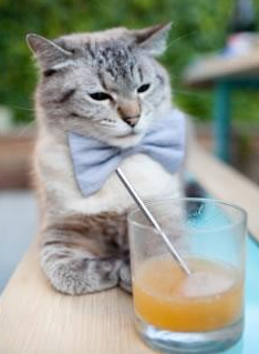 库里：用“铁杆手感”打破三分界限！，库里最铁的一场比赛