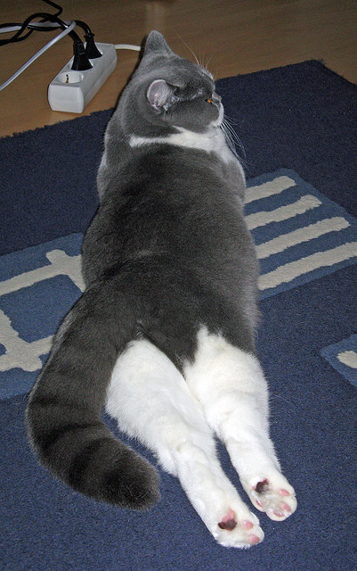 kaiyun-英格兰奥运之路：从质疑到掌声，英格兰国家队奥运会