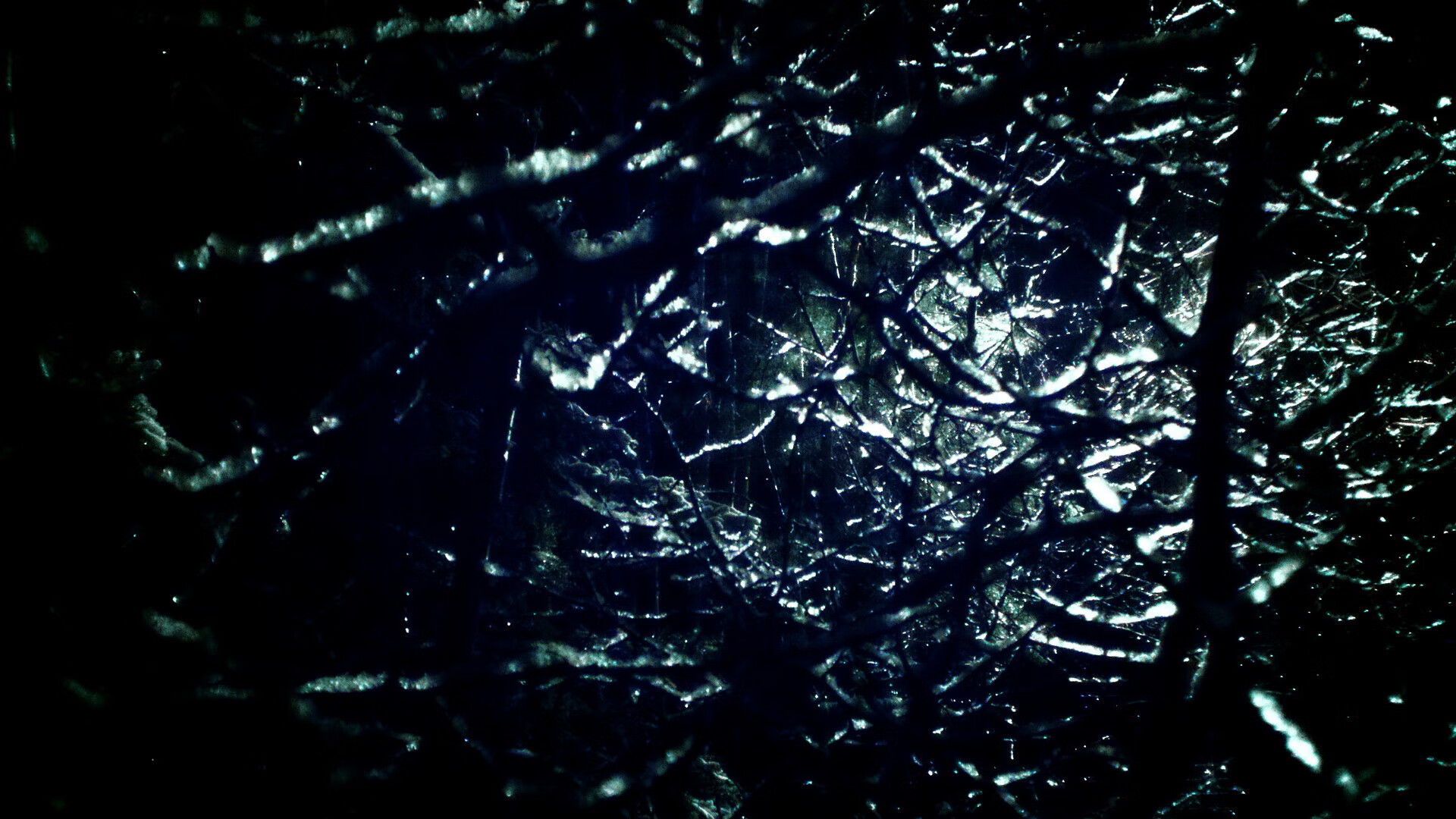 西班牙夺银后社媒刷屏:虽败犹荣,西班牙cid