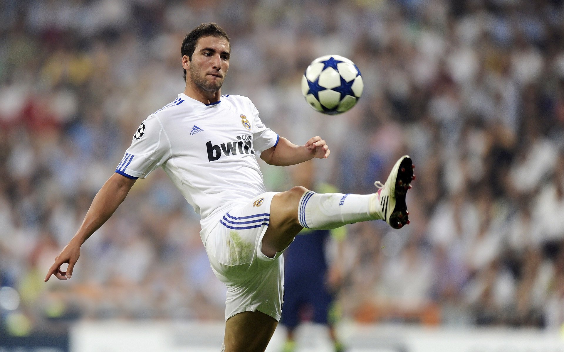 开云APP下载-西班牙马术界引入虚拟现实技术，提升马术训练效果。，马术西班牙古典舞步