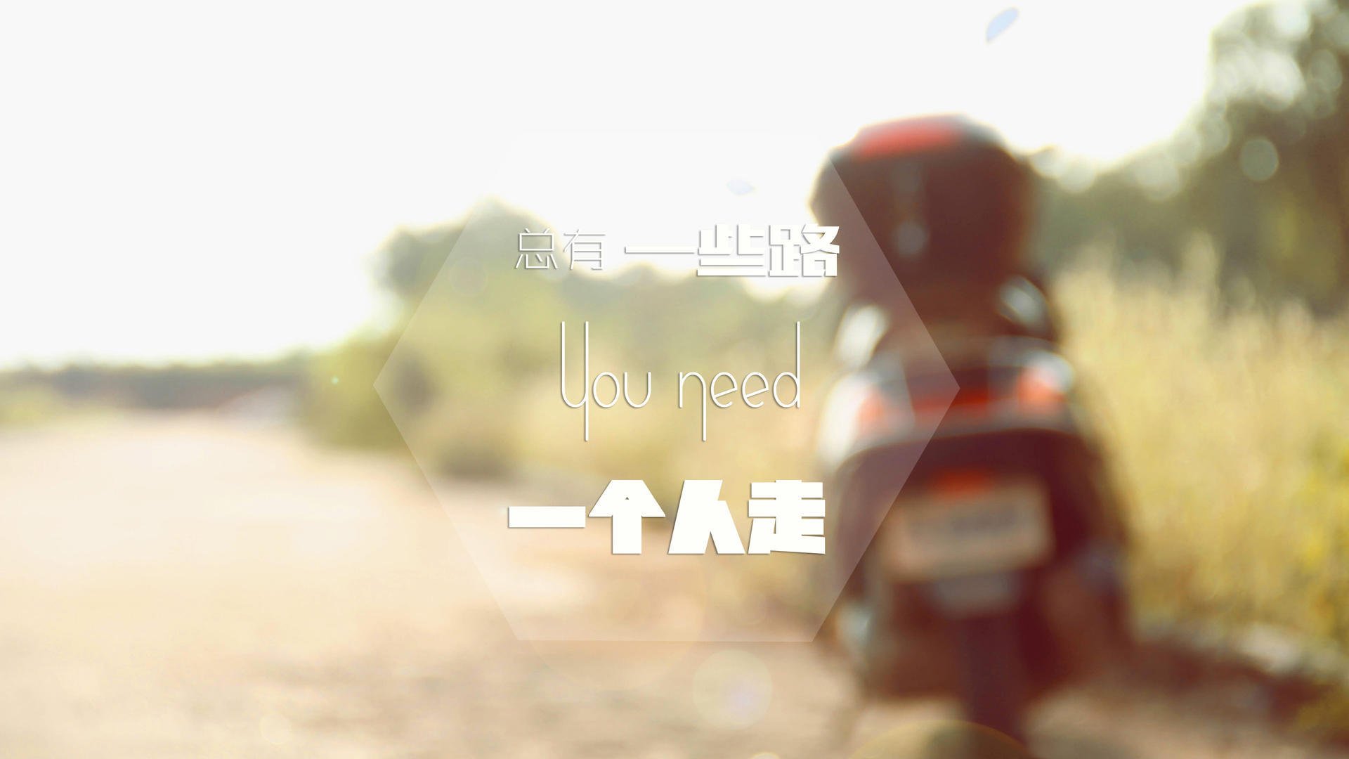 西班牙马术界引入虚拟现实技术，提升马术训练效果。，马术西班牙古典舞步