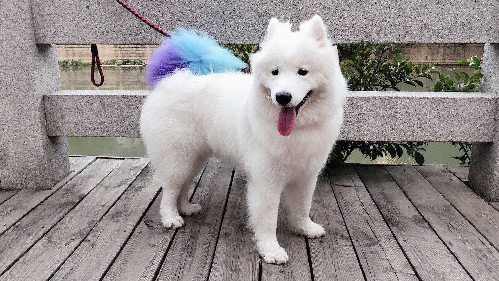 上海海港球员转会动态，上海海港球队