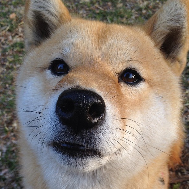场外风波影响马尔赛，球队进入挣扎期，马尔塞尤百科