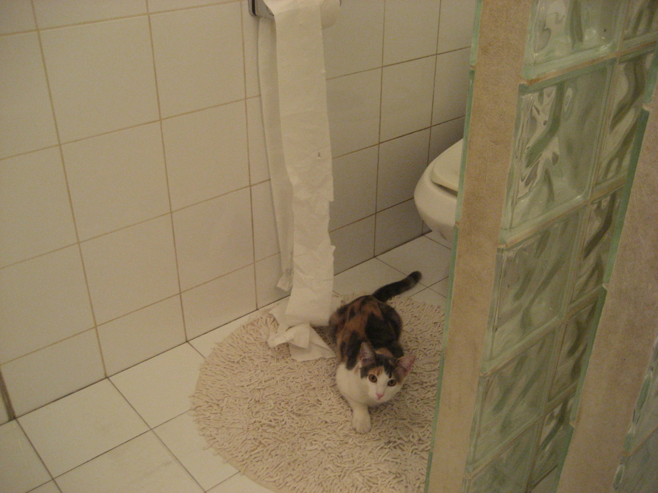 开云娱乐app安全登录-尼斯主场惨败，球队遇阻连胜势头，尼斯vs