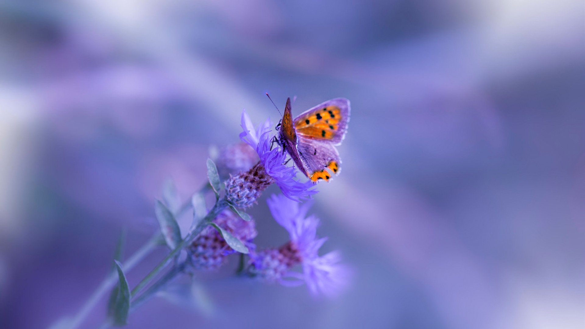 巴萨主场1-0小胜阿尔梅里亚，艰难取胜，巴萨alba