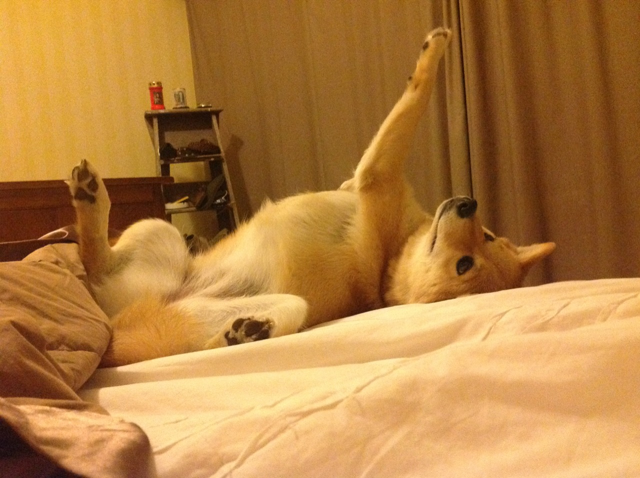 广州男篮击败浙江，崔永熙上演压哨绝杀，广州男篮内线