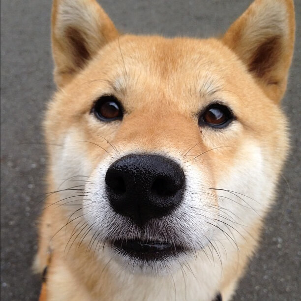 开云体育官方app-是否应设立年度最佳青年教练奖项，最佳青训教练