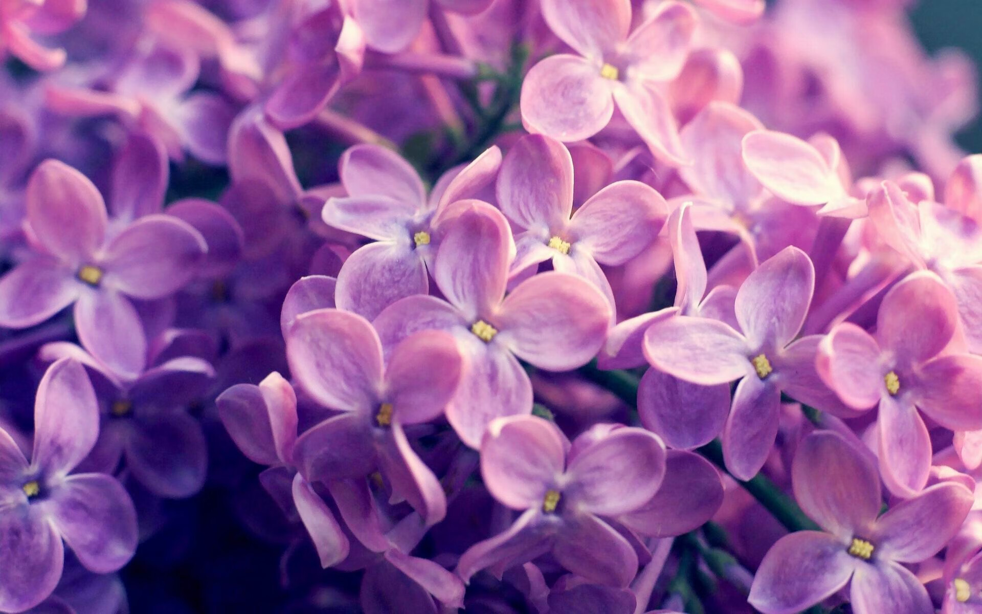 是否应鼓励退役球员参与裁判培训，足球运动员退役当裁判