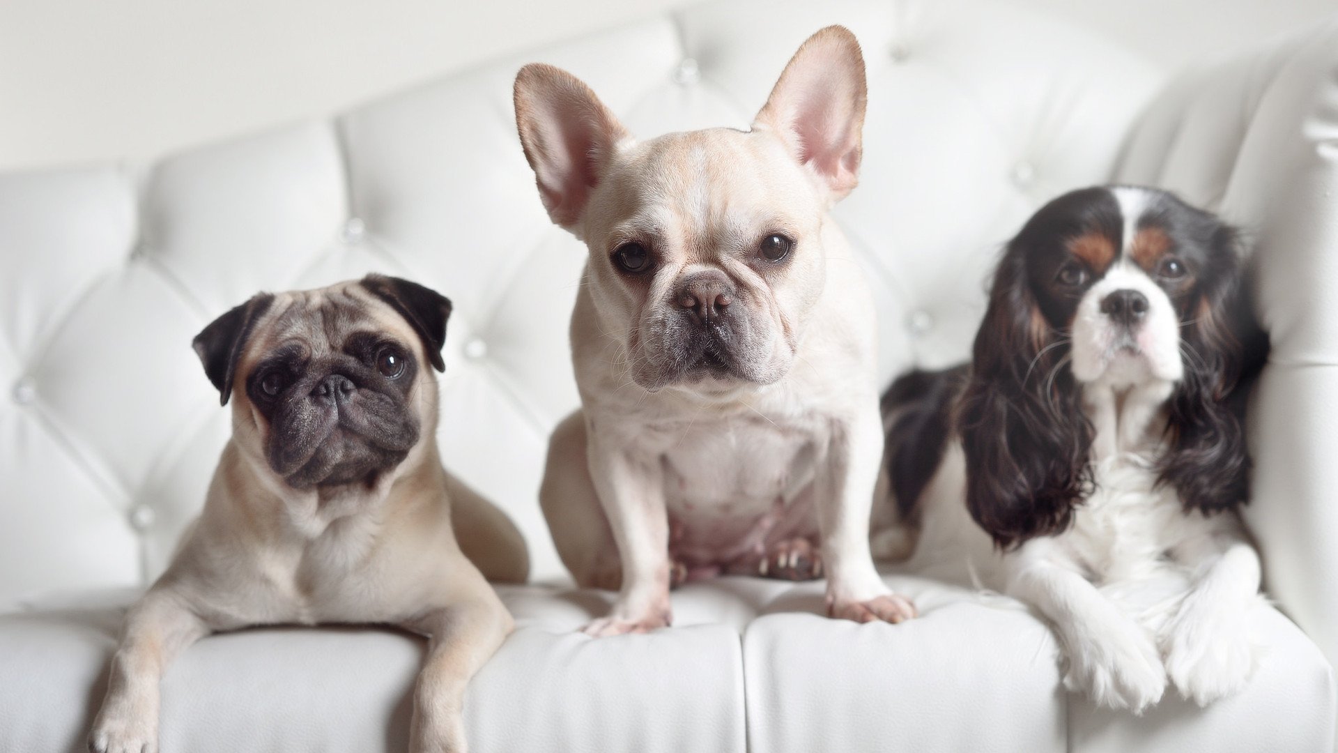 经典战役盘点:五大联赛过去的“天王之战”